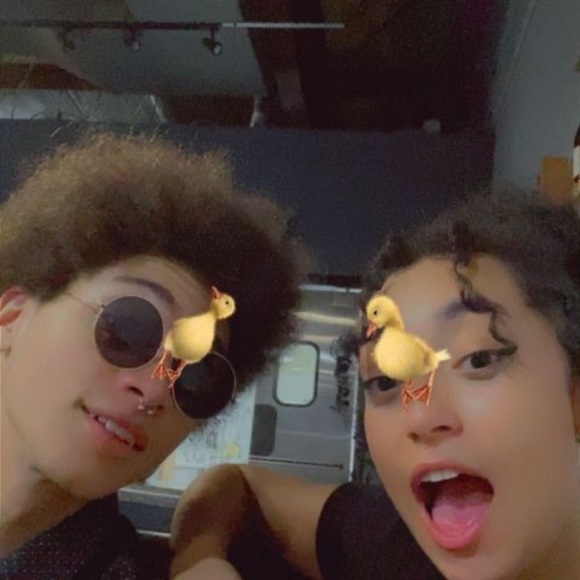 Meet your Posher, Olivia - Picture 1 of 1